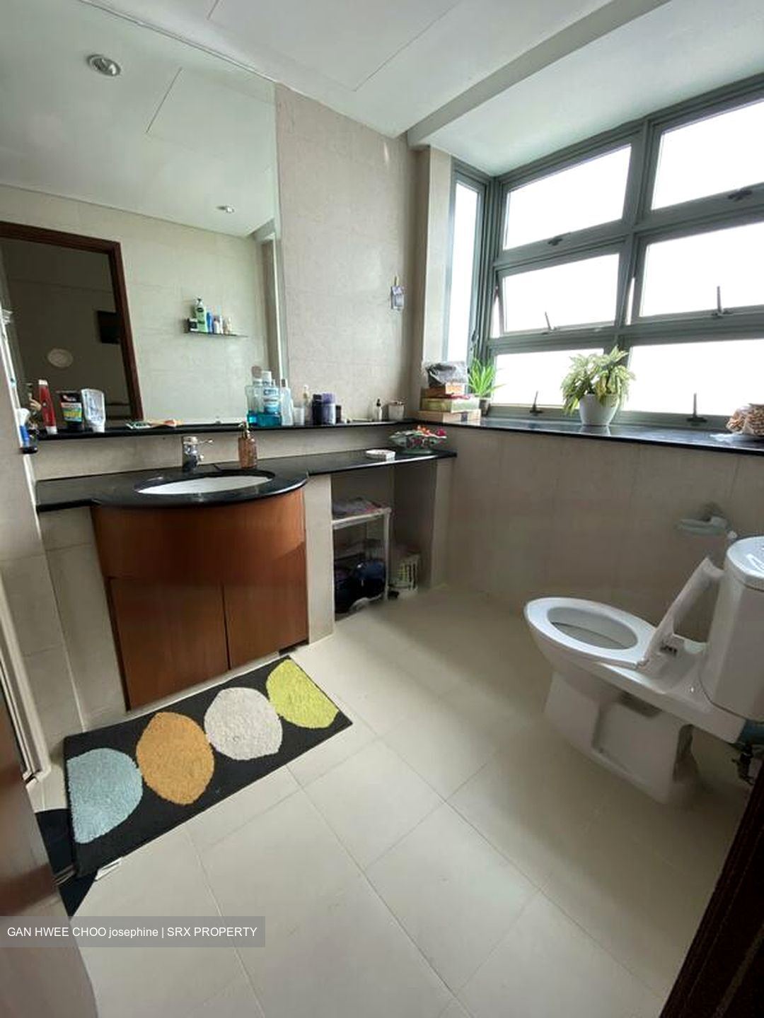 Sunhaven (D16), Condominium #459490901
